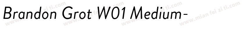 Brandon Grot W01 Medium字体转换